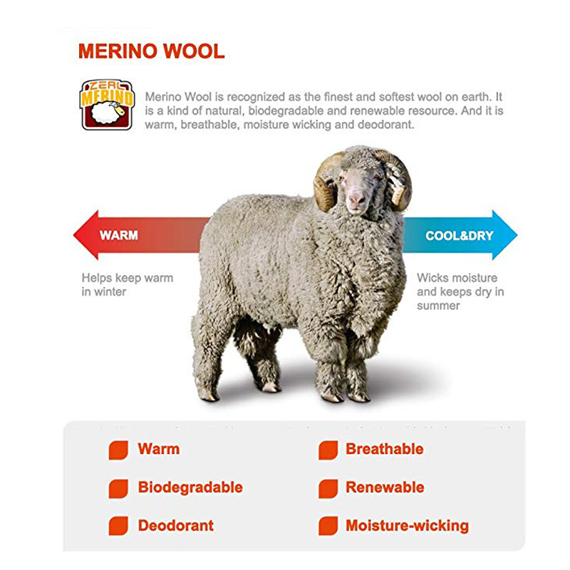 ZEALWOOD 하이킹 트레킹 남성용 여성용 두꺼운 메 - Thermal Sock Merino 리뷰 및 가격